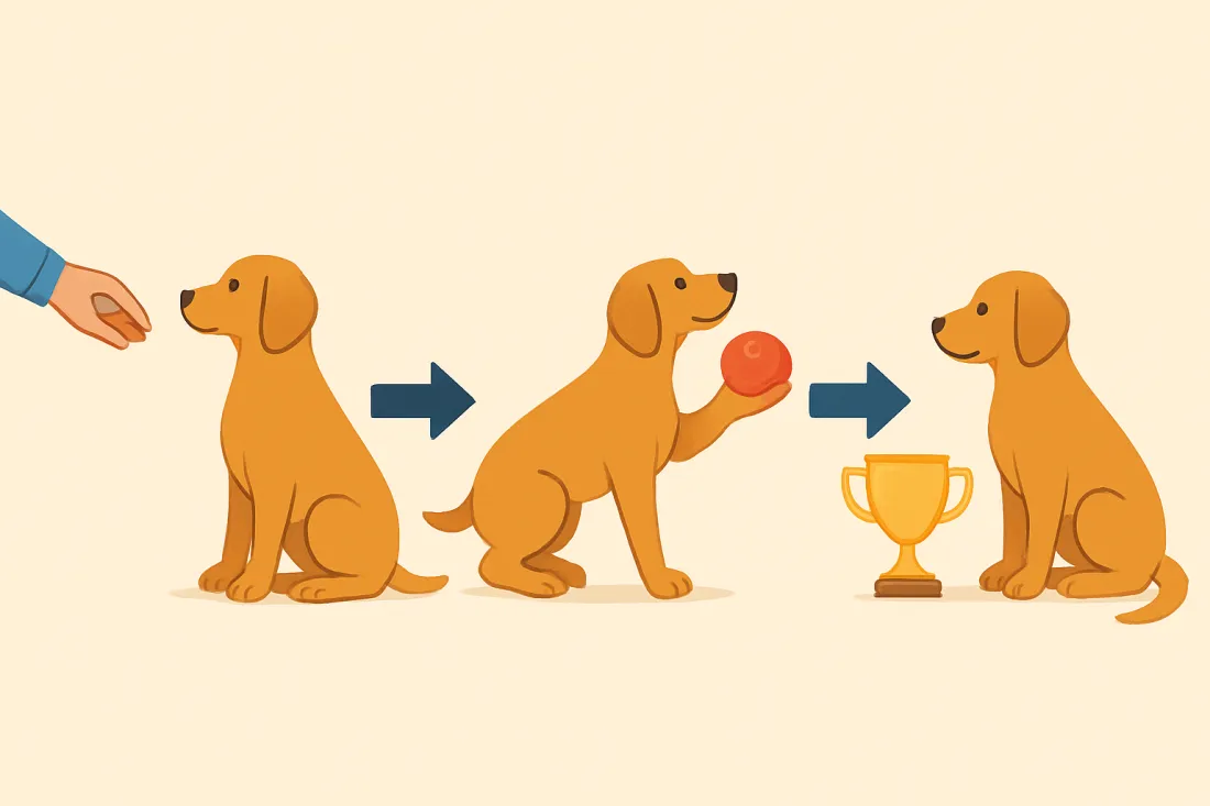 Positive reinforcement training basics for new dog owners: diagram of key elements