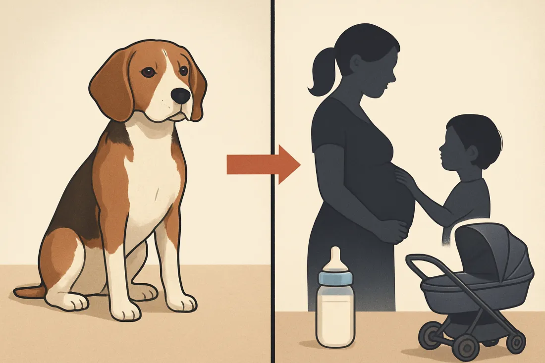 Should we get a dog before having kids: visual comparison of options