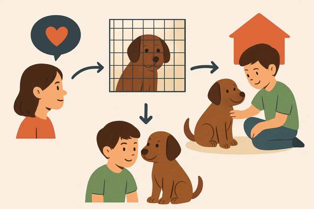How to explain pet adoption to a child: diagram of key elements