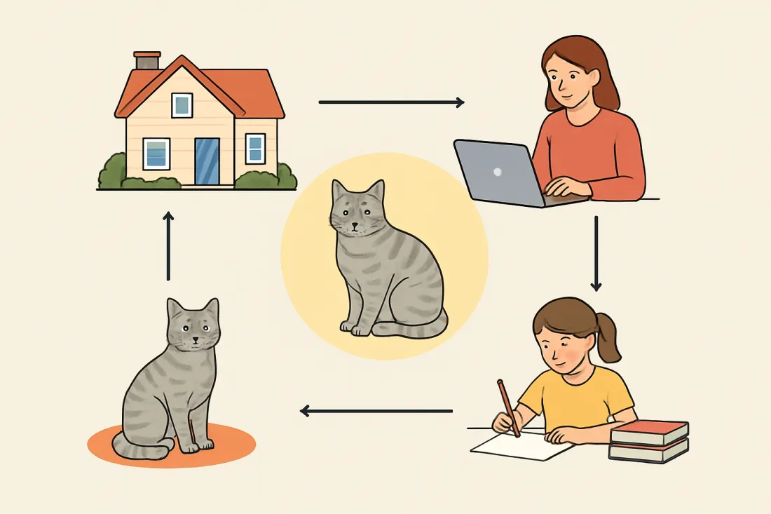 Best cat for busy family: diagram of key elements