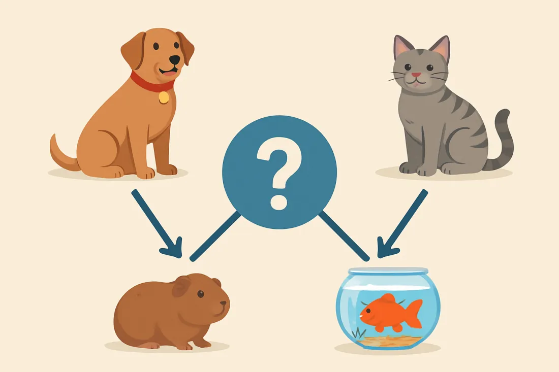 Best pets for families with kids: diagram of key elements