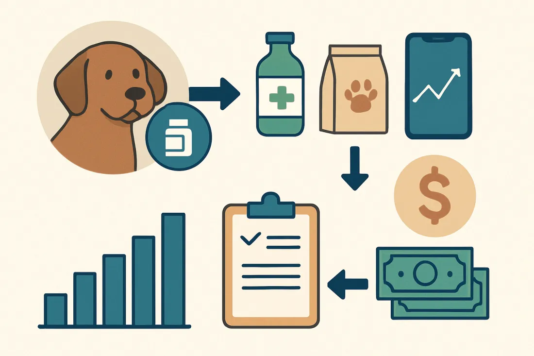 Budgeting for chronic illness vet bills: diagram of key elements