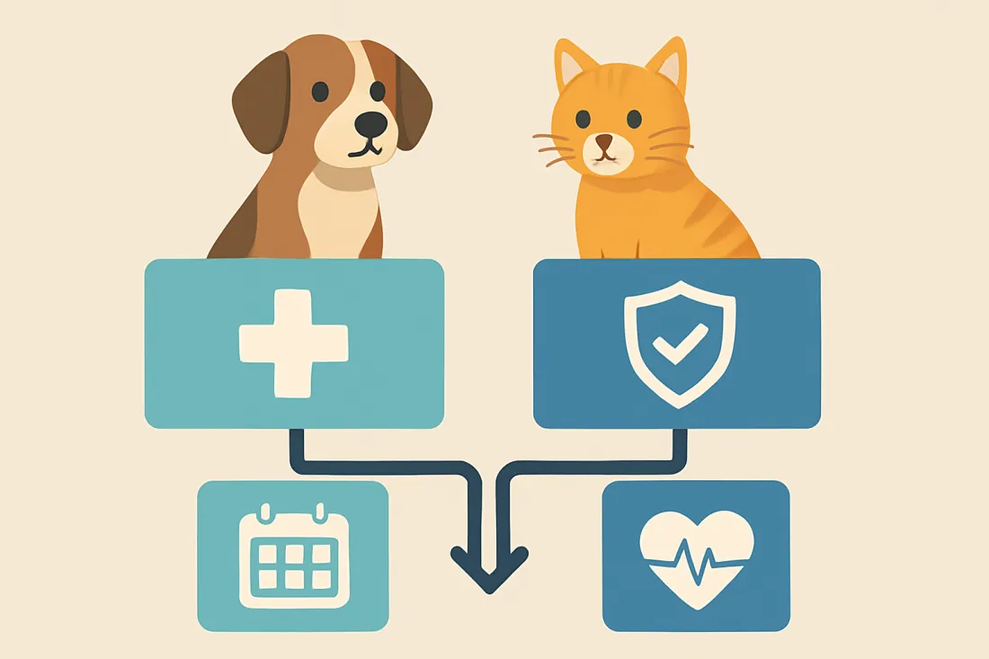 Wellness plans vs pet insurance for vet costs: diagram of key elements